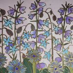 Cornflower