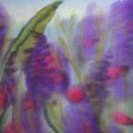 Delphinium