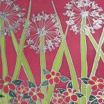 Pink agapanthus