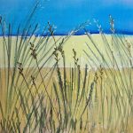 Sand dunes