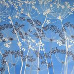 Wild Yarrow