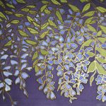 Wisteria