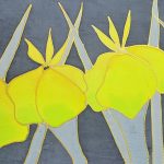 Yellow Iris