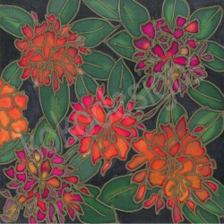 Rhododendron bamboo print