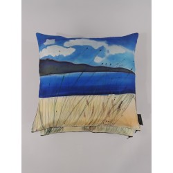 Donegal skies silk cushion